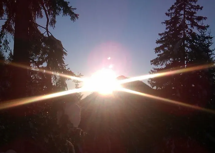 Casa de hóspedes Haus Enzian 3*